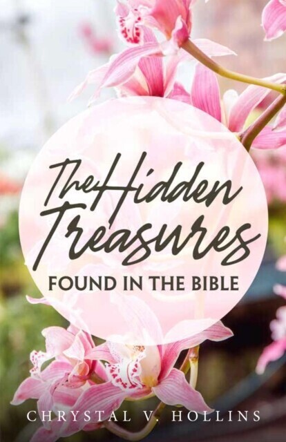 Hidden Treasures Hidden In The Bible main product photo