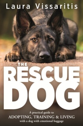 Rescue Dog