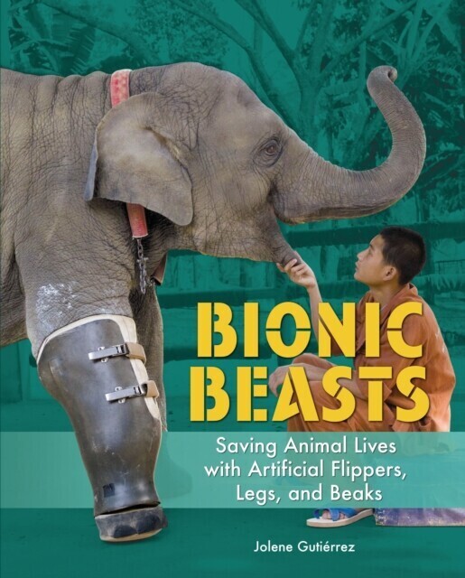 Bionic Beasts main product photo