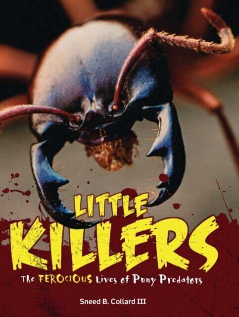 Little Killers main product photo