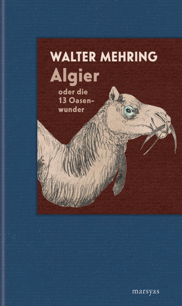 Algier oder die 13 Oasenwunder main product photo