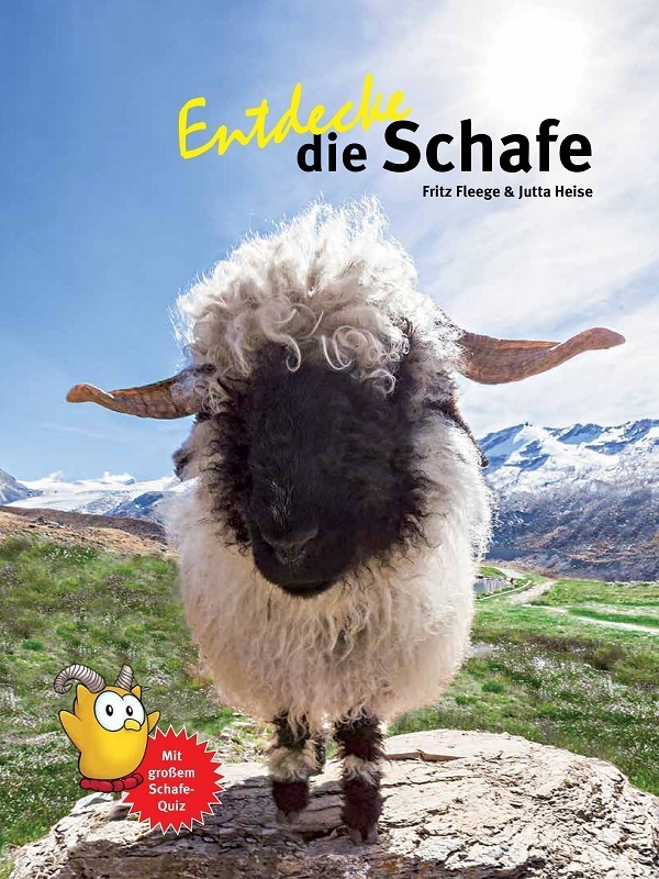 Entdecke die Schafe main product photo