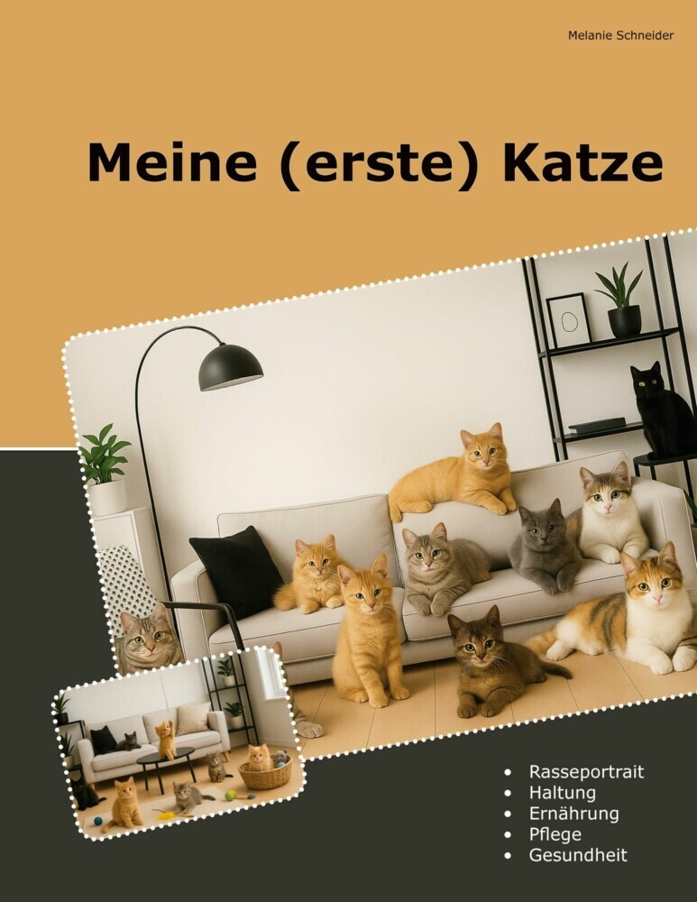 Meine (erste) Katze main product photo