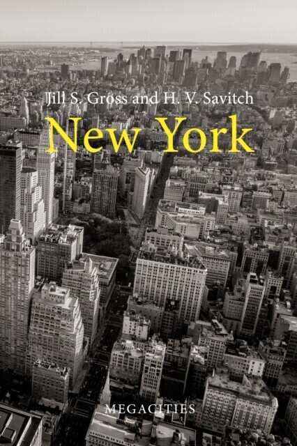New York main product photo