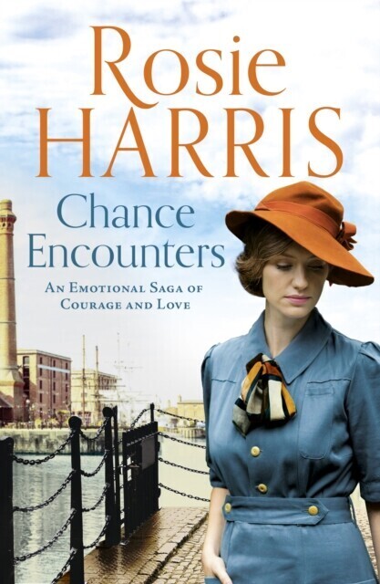 Chance Encounters main product photo