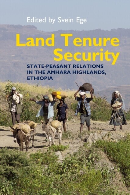 Land Tenure Security main product photo