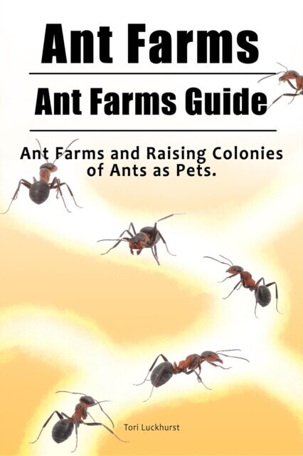 Ant Farms. Ant Farms Guide. Ant Farms and Raising Colonies of Ants as Pets. main product photo