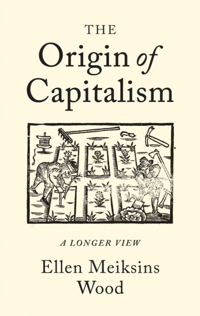 Origin of Capitalism main product photo