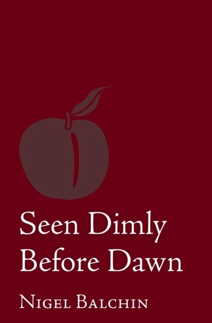 Seen Dimly Before Dawn main product photo