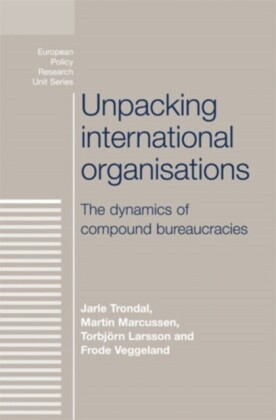 Unpacking international organisations