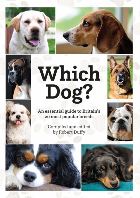 Which Dog main product photo
