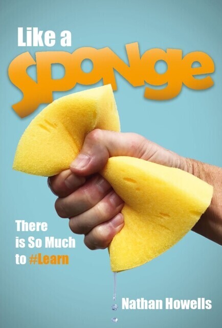 Like a Sponge main product photo