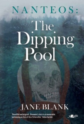 Dipping Pool