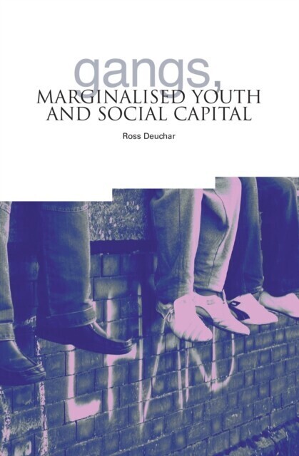 Gangs, Marginalised Youth and Social Capital main product photo