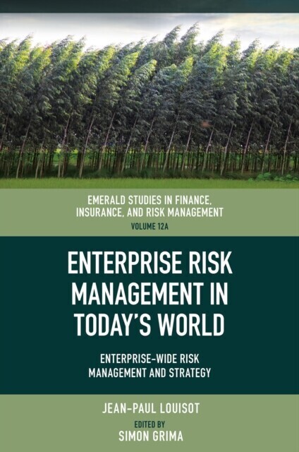 Enterprise Risk Management in Today's World main product photo