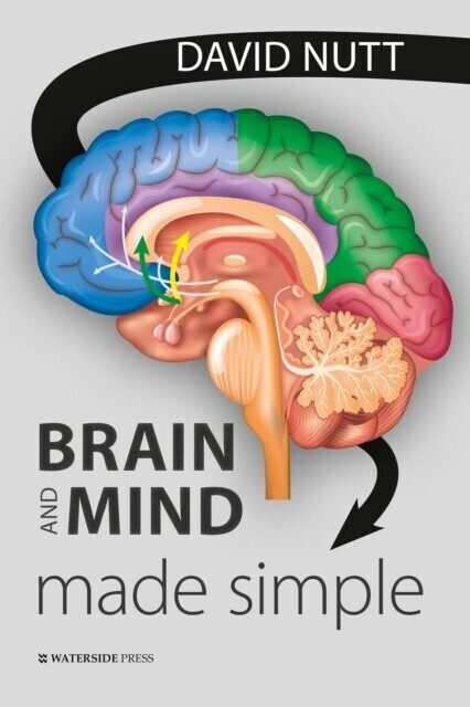 Brain and Mind Made Simple main product photo