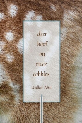 Deer Hoof on River Cobbles