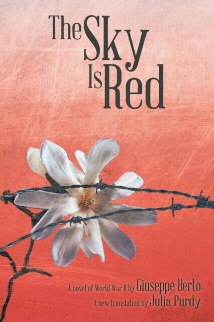 Sky Is Red main product photo