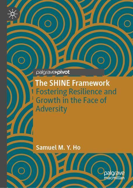 The SHINE Framework main product photo