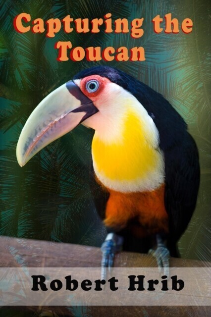 Capturing Toucan main product photo