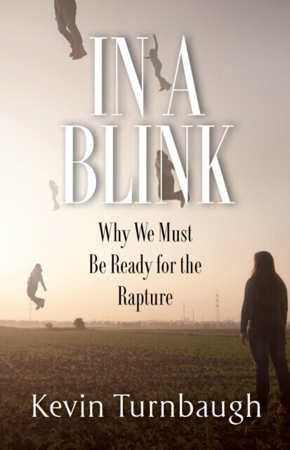 In A Blink main product photo