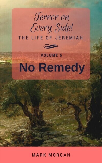 No Remedy main product photo