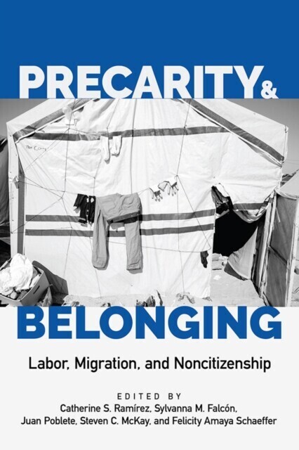 Precarity and Belonging main product photo