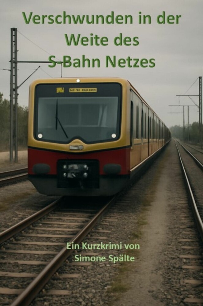 Verschwunden in der Weite des S-Bahn Netzes main product photo