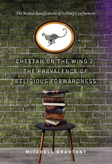 Cheetah On The Wing 2 main product photo