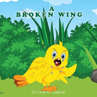 Broken Wing