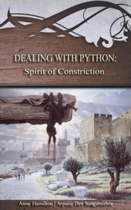 Dealing with Python: Spirit of Constriction