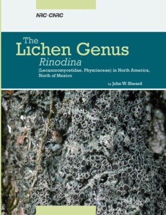 Lichen Genus Rinodina (Ach.) Gray (Lecanorales, Physciaceae) in North America, north of Mexico