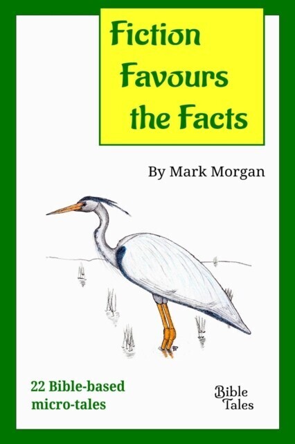 Fiction Favours the Facts main product photo