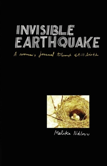 Ndlovu: Invisible Earthquake main product photo