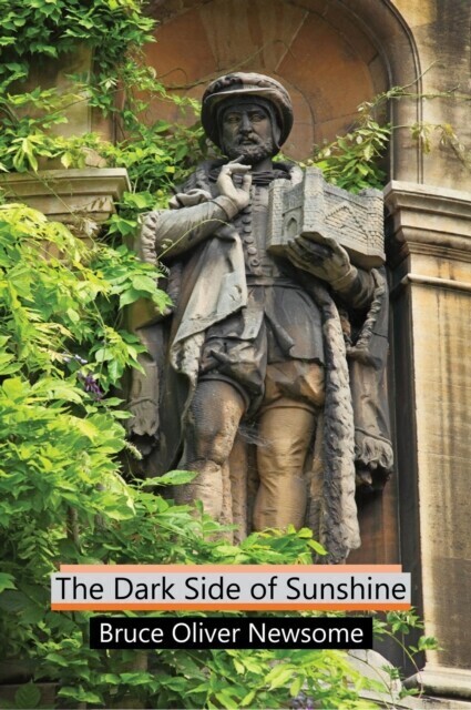 Dark Side of Sunshine main product photo