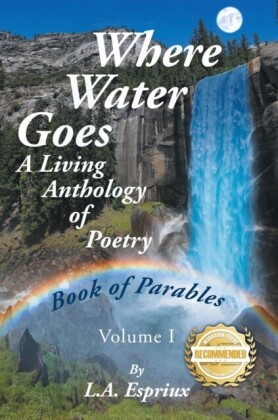 Where Water Goes