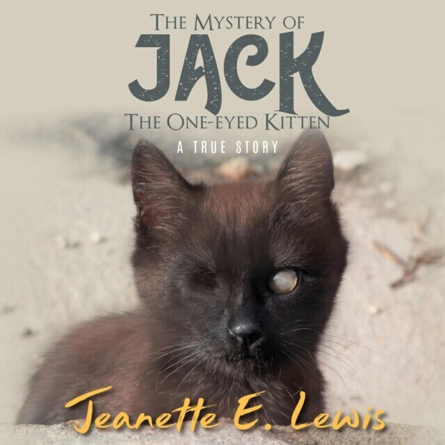 Mystery of Jack, the One-Eyed Kitten main product photo