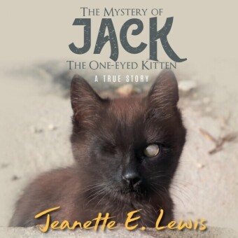 Mystery of Jack, the One-Eyed Kitten