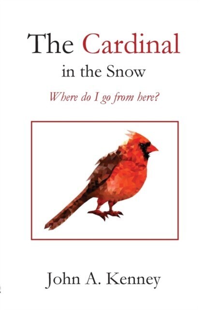 Cardinal in the Snow main product photo
