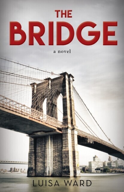 Bridge main product photo