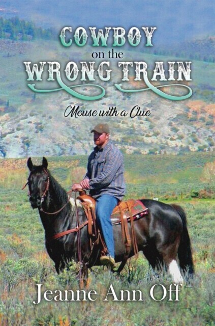 Cowboy on the Wrong Train main product photo