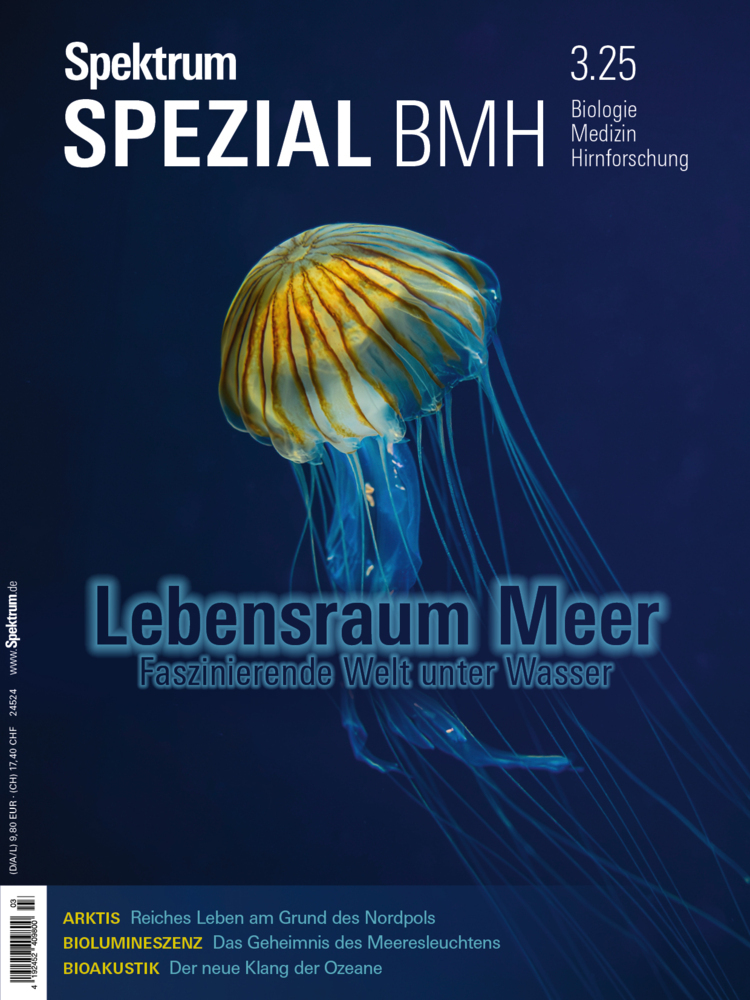 Spektrum Spezial BMH 3/2025 - Lebensraum Meer main product photo
