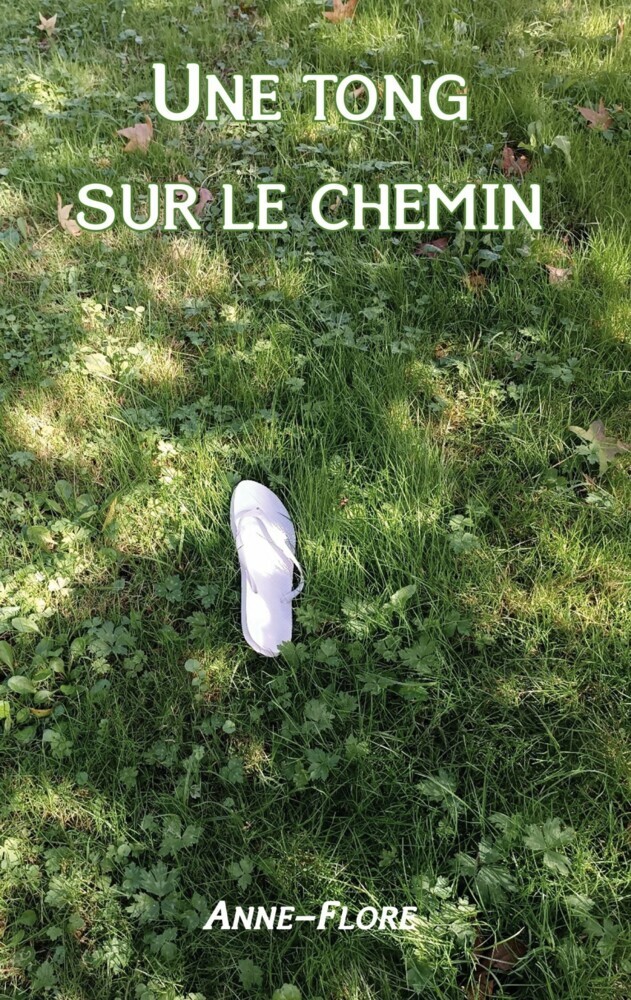 Une tong sur le chemin main product photo