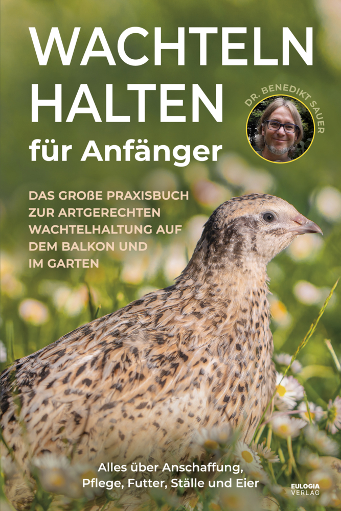 Wachteln halten für Anfänger main product photo