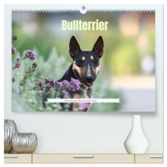 Bullterrier - charmante Herzensbrecher (hochwertiger Premium W...