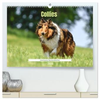 Collies - charmante Herzensbrecher (hochwertiger Premium Wandk...