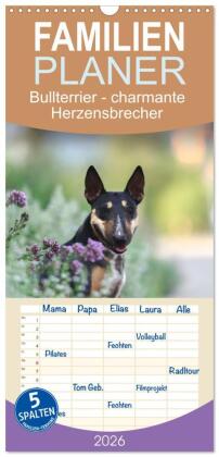 Familienplaner 2026 - Bullterrier - charmante Herzensbrecher m...