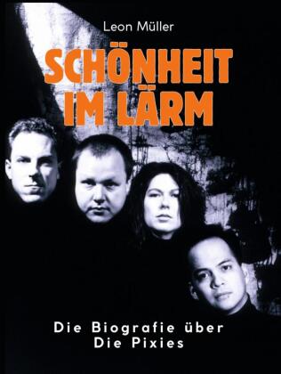 Schönheit im Lärm