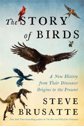 The Story of Birds