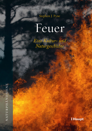 Feuer